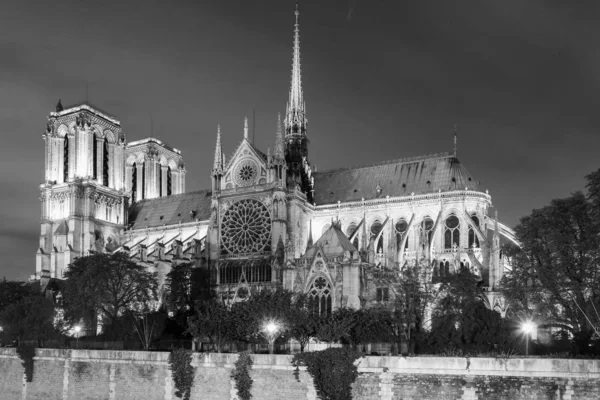 夜のノートルダム大聖堂 フランス モンクロム版 — ストック写真