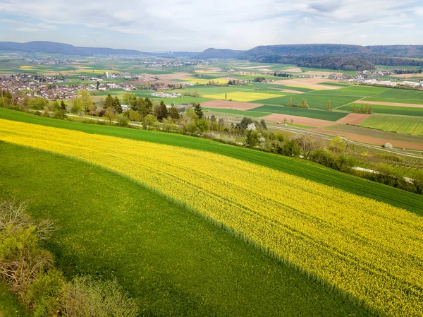 Aerial View Contryside Rape Field Patches Stripes — Stock Photo, Image
