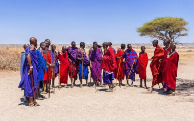 Serengeti, Tanzanya - 21 Eylül. 2012: Serengeti Milli Parkı'ndaki Massai köyünde bir araya gelen renkli kumaşlı bir grup Massai erkeği