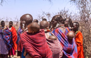 Serengeti, Tanzanya - 21 Eylül. 2012: Serengeti Milli Parkı'ndaki Massai köyünde bebekleri sırtlarında taşıyan renkli bezli Massai kadınlarından oluşan bir grup