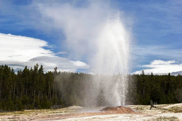 Cono Rosa Géiser Euruption Lower Basin Yellowstone National Park — Foto de Stock
