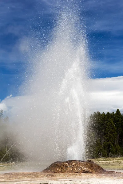 Geiser Cone Rosa Euruption Bacia Inferior Parque Nacional Yellowstone Eua — Fotografia de Stock
