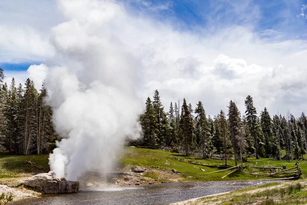 Géiser Riverside Erupción Parque Nacional Yellowstone —  Fotos de Stock