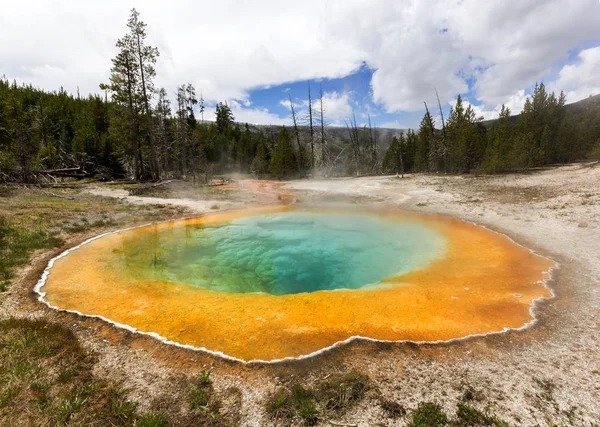 Morning Glory Piscina Termal Parque Nacional Yellowstone Wyoming Estados Unidos —  Fotos de Stock