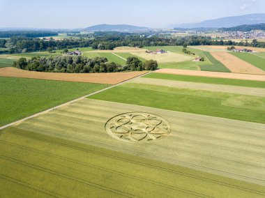 Canton Bern, Switzerland - July 05, 2019: mysterious crop circle emerged overnight in wheat field with beautiful pattern - aerial drone image clipart