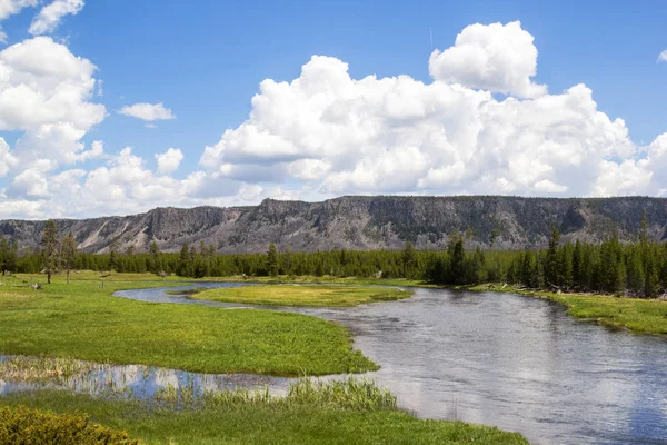 Meanderende Rivier Door Yellowstone National Park Valley Met Weelderig Grasland — Stockfoto