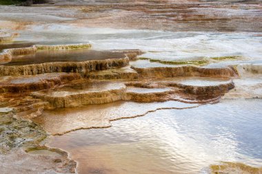 Yellowstone Ulusal Parkı, Wyoming Mammoth Hot Springs de sabah ışığında Traverten teras