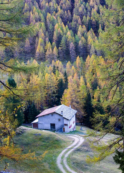 Malý Domek Kamennou Střechou Podzimním Lese — Stock fotografie