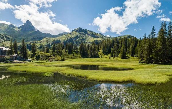 黒湖のパノラマ シュワルツゼー スイスのワレンゼー湖の上の山の中に夏の植生を持つ湿地 — ストック写真