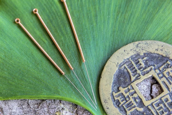 Acupuncture Needles Ancient Chinese Bronze Coin Green Ginkgo Leaf — Stock Photo, Image