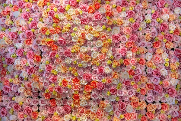 Una Colorida Imagen Fondo Una Pared Rosas — Foto de Stock