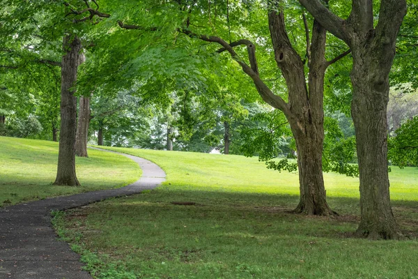 Green Summer Landscape Park Path Morristown New Jersey — Stock Photo, Image