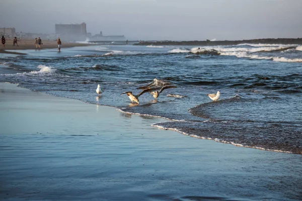 Větrný Den Neklidné Moře Podél Pláže Avon Moře New Jersey — Stock fotografie