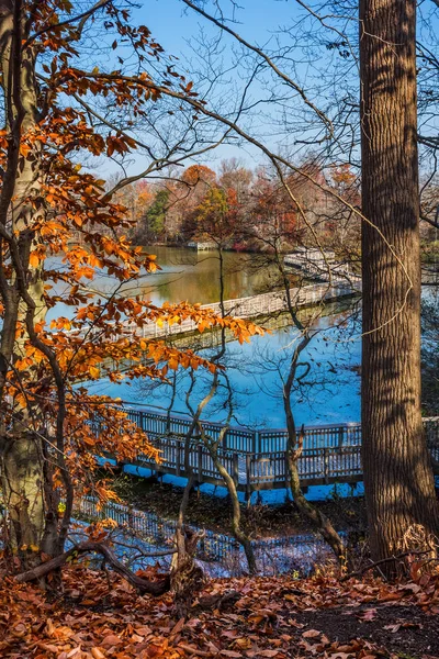 Uma Vista Panorâmica Lago Smithville Com Folhas Outono Burlington County — Fotografia de Stock