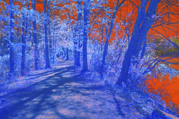 抽象秋天的颜色环绕在史密斯维尔村在伯灵顿郡新泽西州的远足小径 — 图库照片