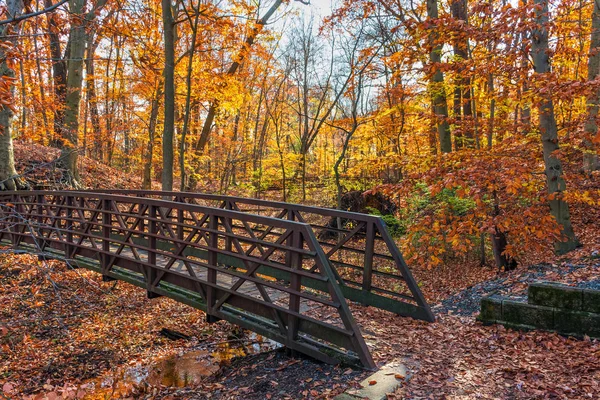 ジョニーパワーズはスミス村バーリントン郡ニュージャージーの近くには このハイキング道の紅葉に囲まれた歩道橋 — ストック写真
