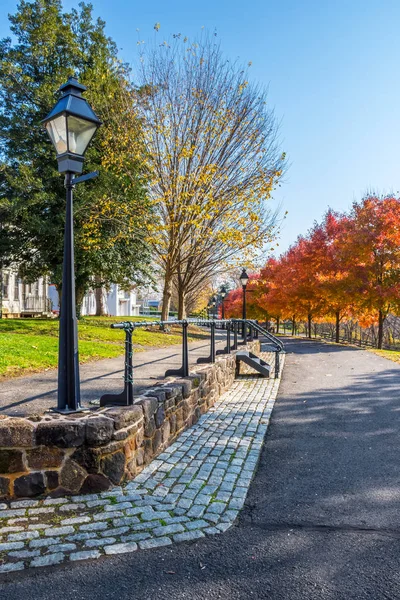 Mooie Herfst Bomen Langs Park Avenue Historische Smithville Dorp Burlington — Stockfoto