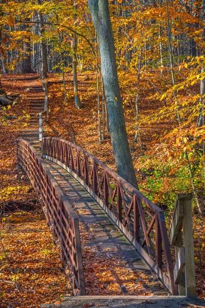 Gångbro Längs Denna Vandringsled Smith Woods Burlington County New Jersey — Stockfoto