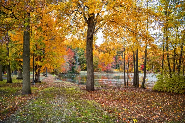 Sendero Rodeado Vibrantes Colores Otoño Alrededor Holiday Lake Manalapan Nueva —  Fotos de Stock