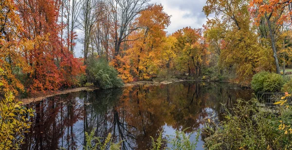 Panoramatický Pohled Tohoto Malého Rybníka Big Brook Park Monmouth County — Stock fotografie