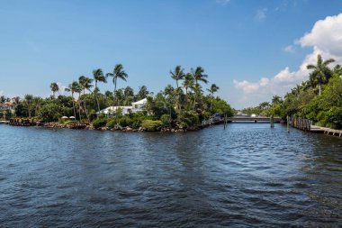 Palmiye ağaçları ve Fort Lauderdale Florida kanalları boyunca pahalı gayrimenkul.