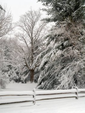Taze kar yağışı Monmouth Battlefield State Park içinde mülk New Jersey.