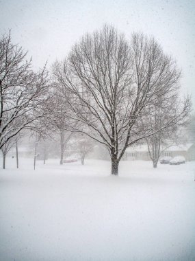 Bir kar fırtınası Manalapan New Jersey'deki bu mahallede.