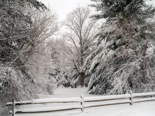 Fresh Snowfall Monmouth Battlefield State Park Freehold New Jersey — Stock Photo, Image