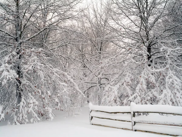 ニュージャージーの自由保有権の新鮮な降雪モンマス戦場州立公園内 — ストック写真