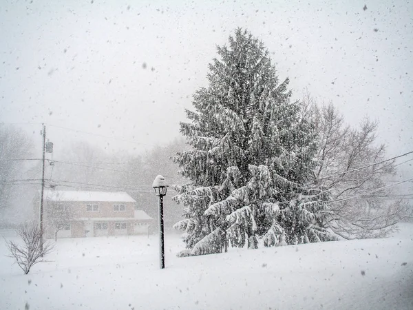 Heavy Snowfall Neighborhood Manalapan New Jersey — Stock Photo, Image