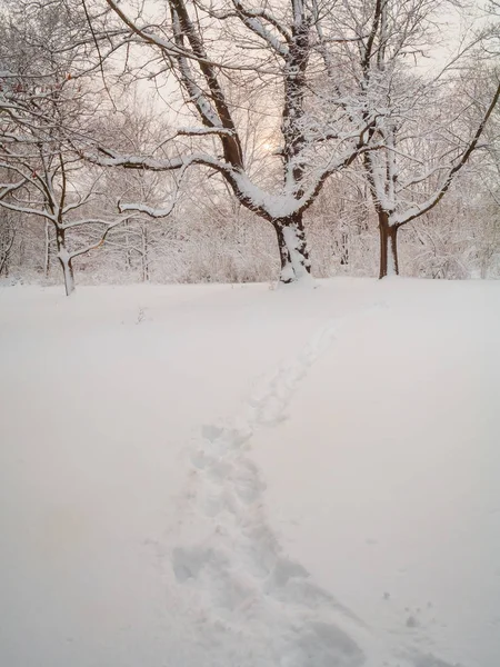 在新泽西蒙茅斯战场州立公园 一条穿越刚刚降下的雪的足迹路径 — 图库照片