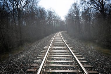 Tren parça rüzgara merkezi New Jersey'deki bir puslu kış woodlands.