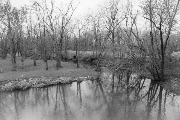 Una Vista Blanco Negro Imlaystown Creek Condado Monmouth Nueva Jersey — Foto de Stock