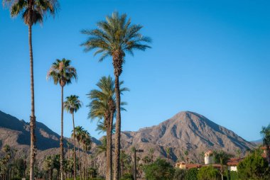 Palm Springs California'da yakınındaki doğal bir Güney Kaliforniya manzara.