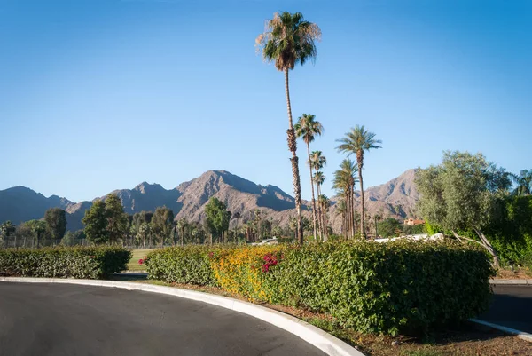 Modrá Skys Hory Palm Stromy Malebném Indian Wells Kalifornie — Stock fotografie