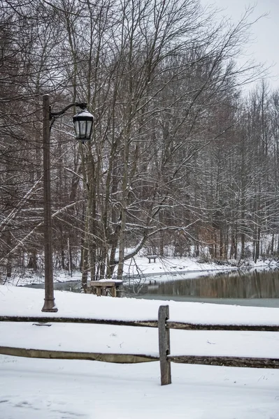 Verse Sneeuw Straat Lamp Bomen Rond Vakantie Meer Manalapan New — Stockfoto