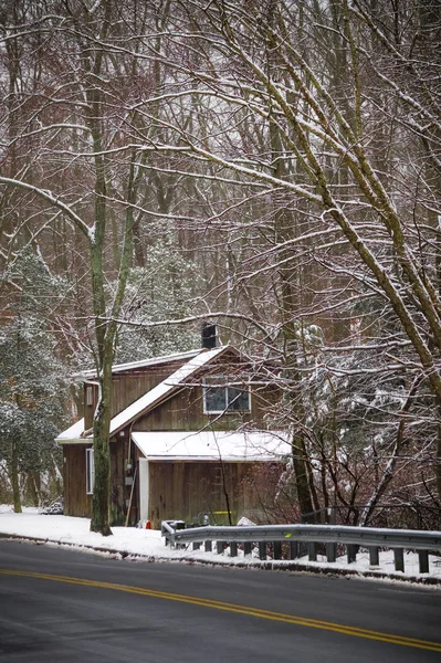 Fresh Snow Branches Country Road Rural Central New Jersey — Stock Photo, Image