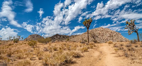 Piedra desierto panorama —  Fotos de Stock