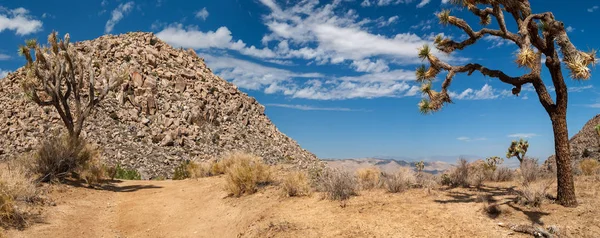 Kamień krajobraz pustyni — Zdjęcie stockowe
