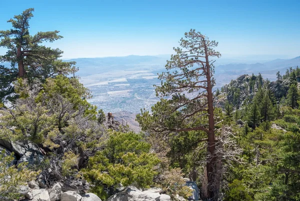 Scenic San Jacinto State Park — Stock Photo, Image