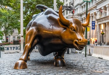 Bull yukarı yakın 