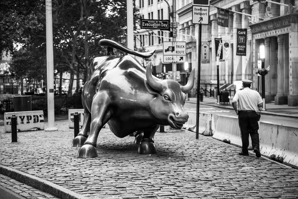 Wall St Bull чорний і білий — стокове фото