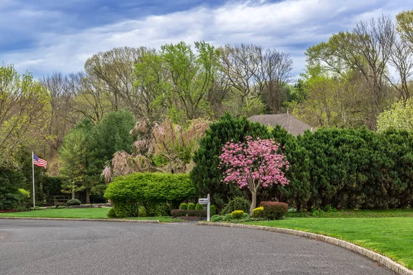Spring Neighborhood — Stockfoto