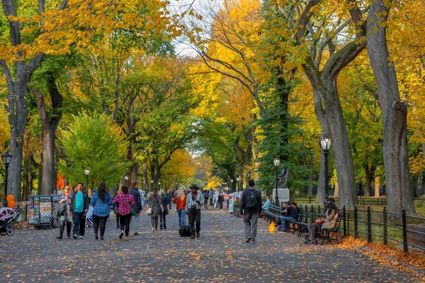 Fall Day on the Mall — Stock Photo, Image