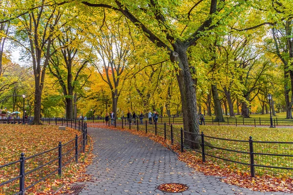 Central Park Path — Stockfoto
