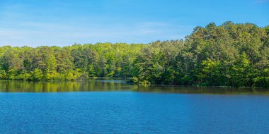 Bahar Yeşil Panorama 