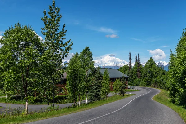 Denali in the Distance — Stock Photo, Image