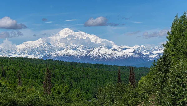 O Grande Denali — Fotografia de Stock