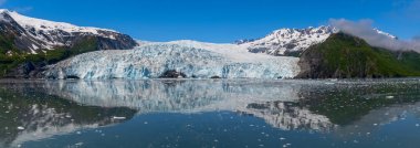 Aialik Glacier Panorama clipart