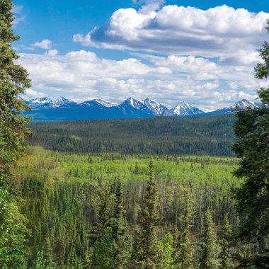 Güzel Alaska